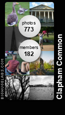 Clapham Common. Get yours at bighugelabs.com/flickr